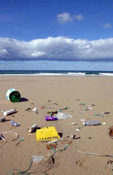 mARINE LITTER FORUM PIC.jpg
