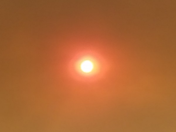20160822_165814.jpg