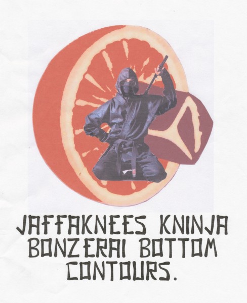 Jpeg ninja.jpg