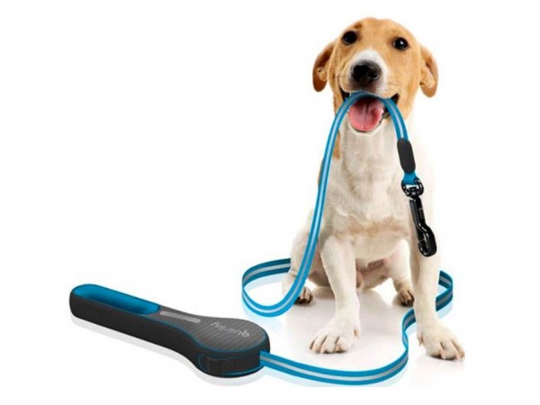 leash.jpg