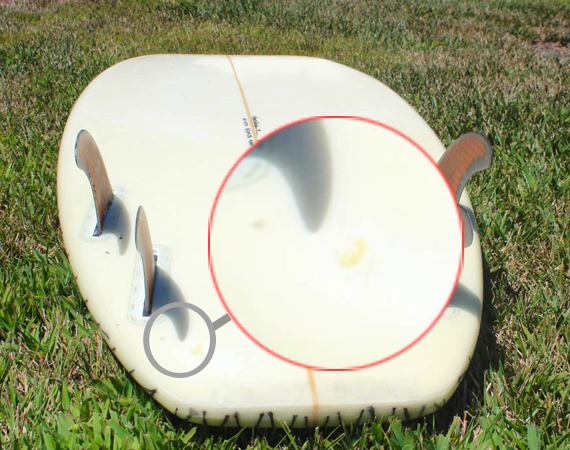 IMG-3-zoom.jpg