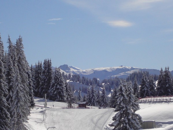 mountain view.JPG