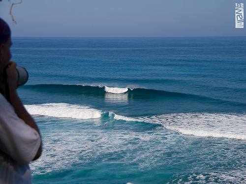 surf.jpg