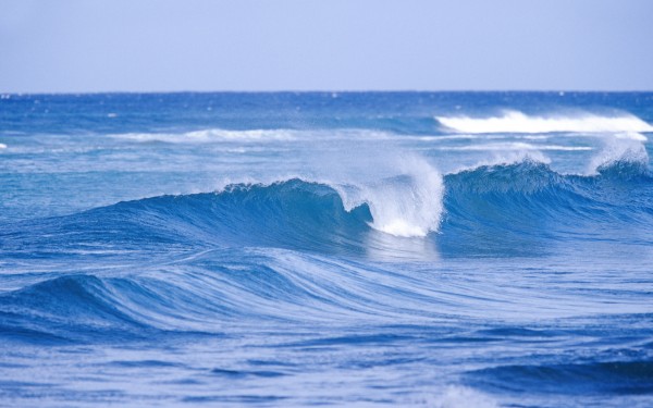 wave.jpg