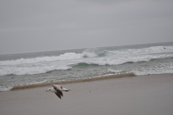DSC_0071.JPG