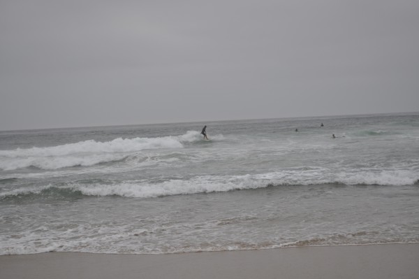 DSC_0073.JPG