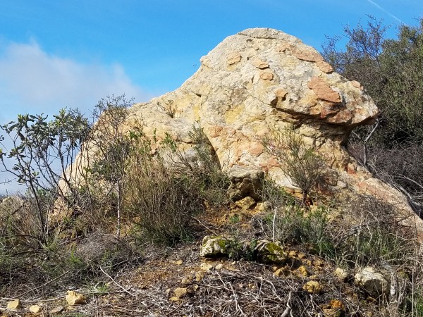20170204_115823.jpg