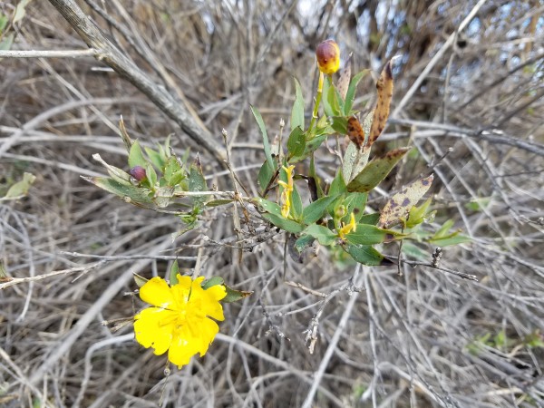 20170204_122809.jpg