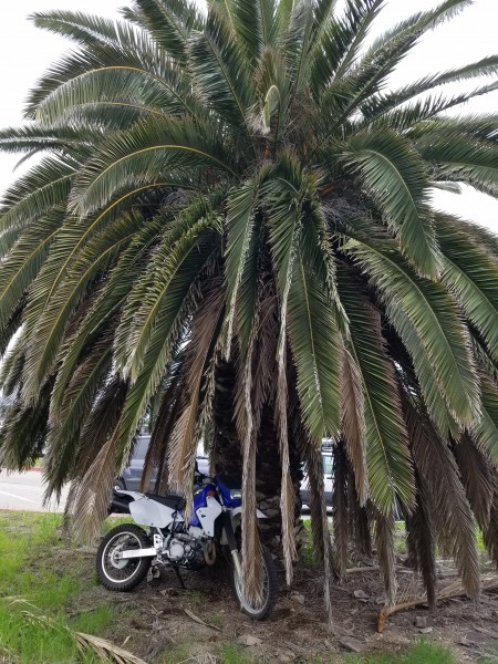 20170205_125058.jpg