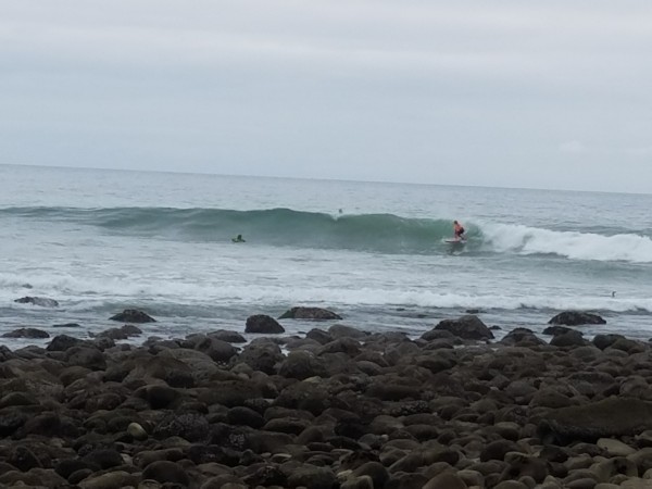 20170205_132210.jpg