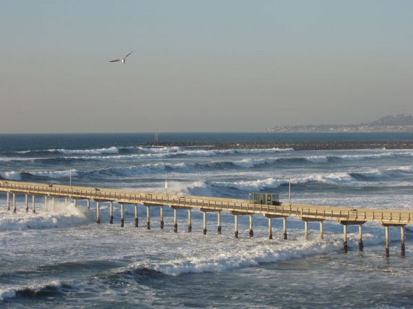 22-dec-big-surf-06.jpg