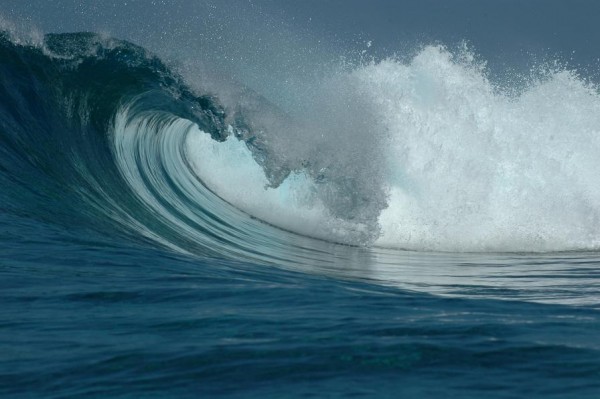 surf wave new cal.jpg