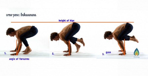 blissology-yoga-crow-progression-12+3-1024x531.jpg