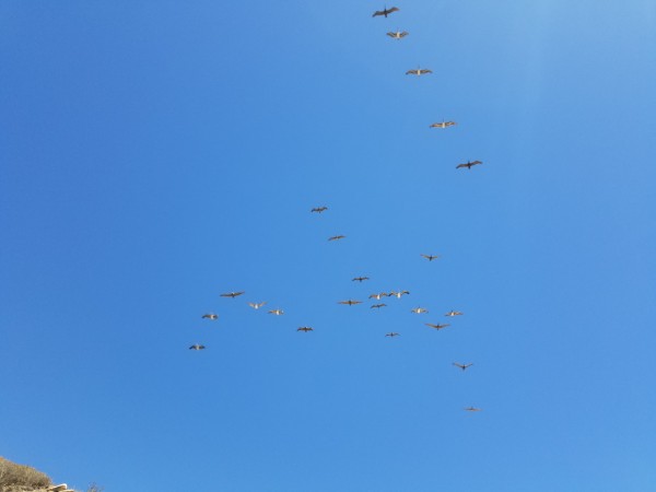 20170520_144331.jpg