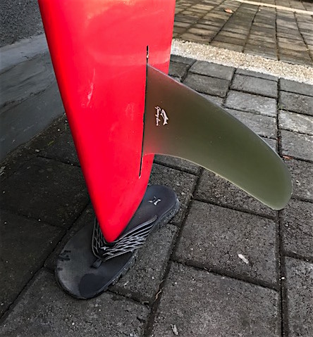 hatchet fin.JPG