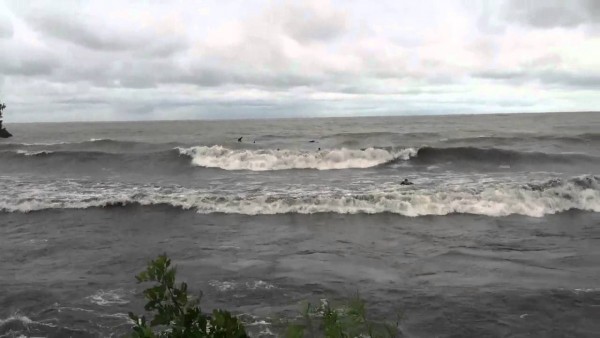 EdgewaterSurf4.jpg