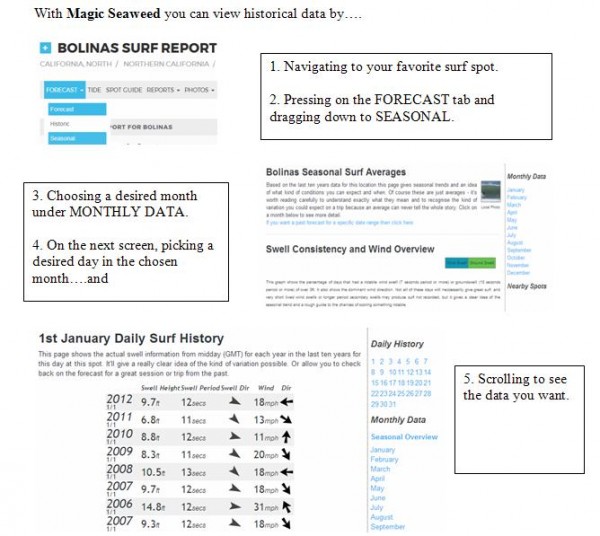 MagicSeaweed.JPG