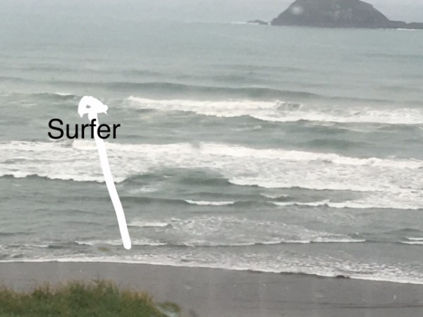 FullSizeRender.jpg