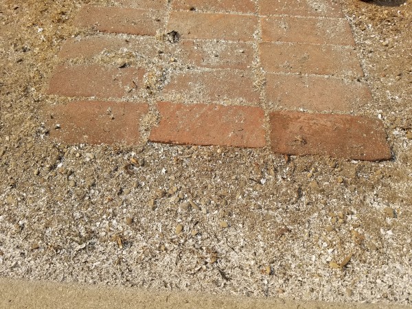 ground.jpg