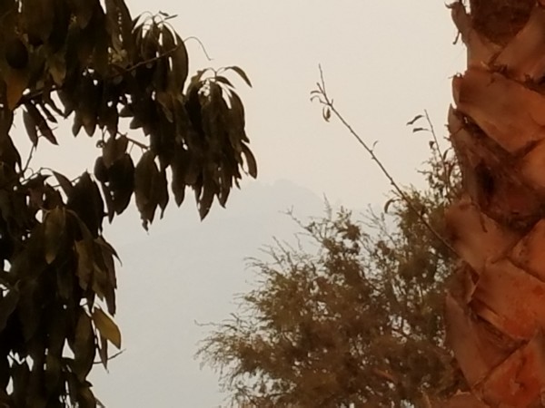20171208_133326.jpg
