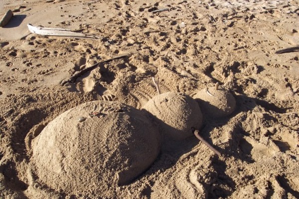 beachxmas015.jpg