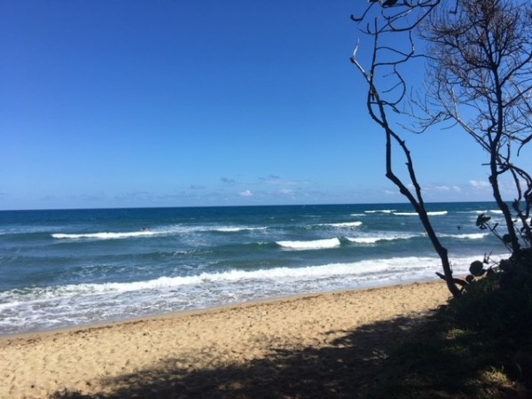 fun waves 2.jpg