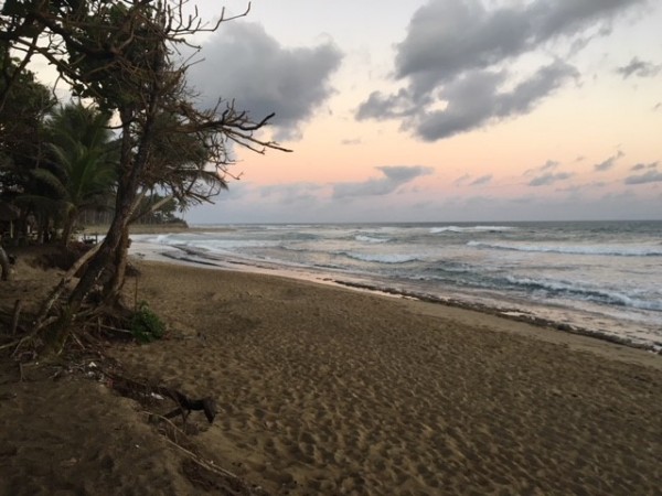 dawn patrol.jpg