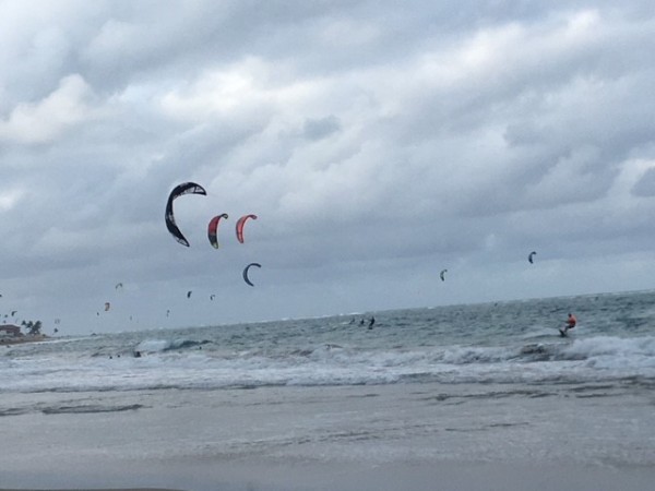 kites.jpg