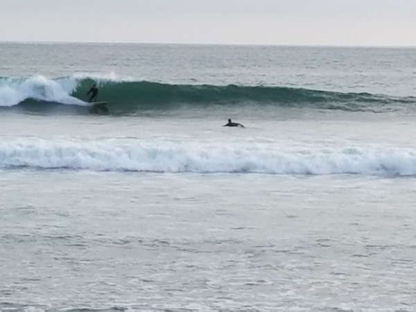 20180426_182538.jpg