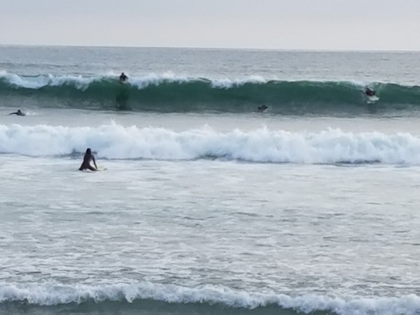 20180426_182536.jpg