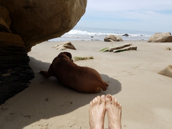 20180505_122241.jpg