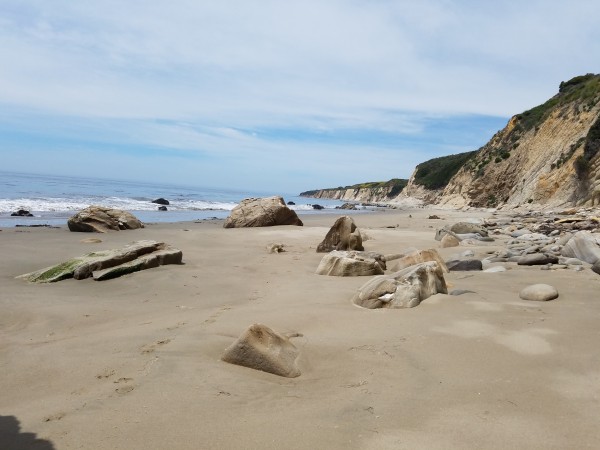 20180505_122434.jpg