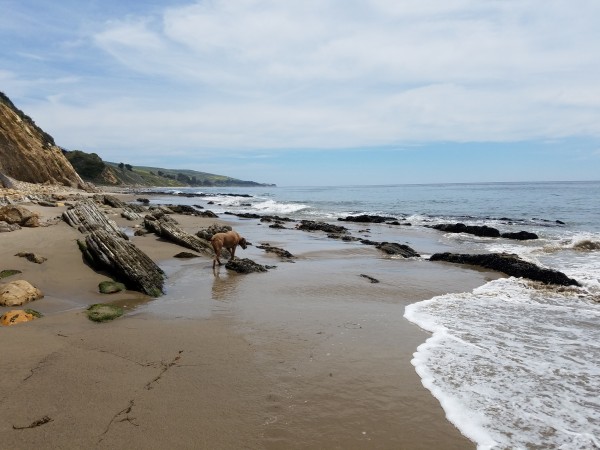 20180505_124238.jpg