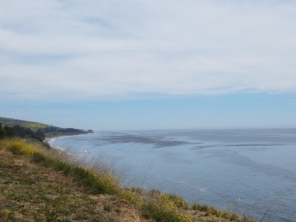 20180505_130459.jpg
