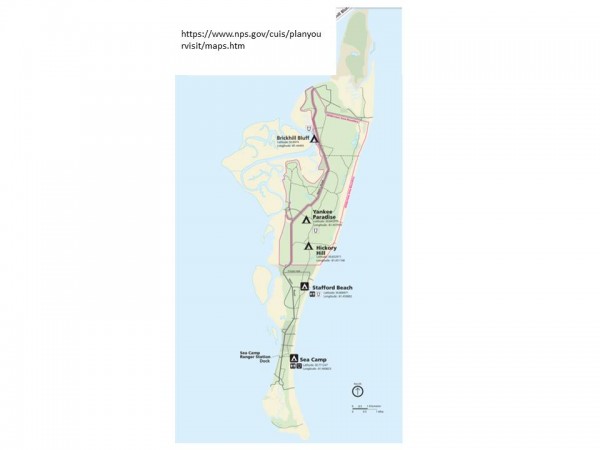 Cumberland_Island_1982.jpg