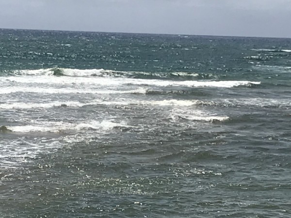 IMG_0181.JPG
