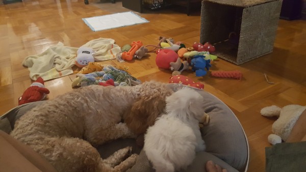 20180503_175143.jpg