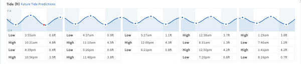 Screen Shot 2018-11-12 at 4.18.55 PM.png
