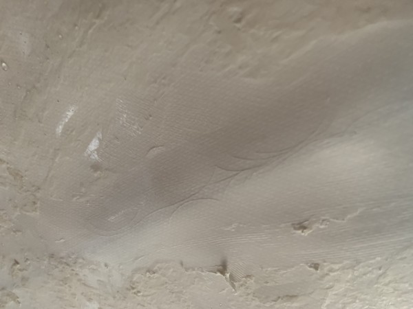 9540B812-4ECE-4109-B7D9-AC807BFE5AEC.jpeg