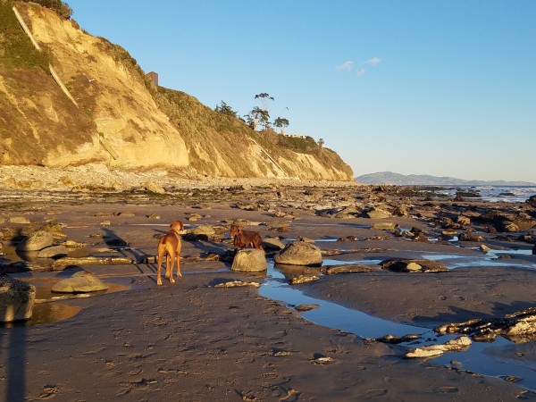 near hendrys_Jan_2019.jpg