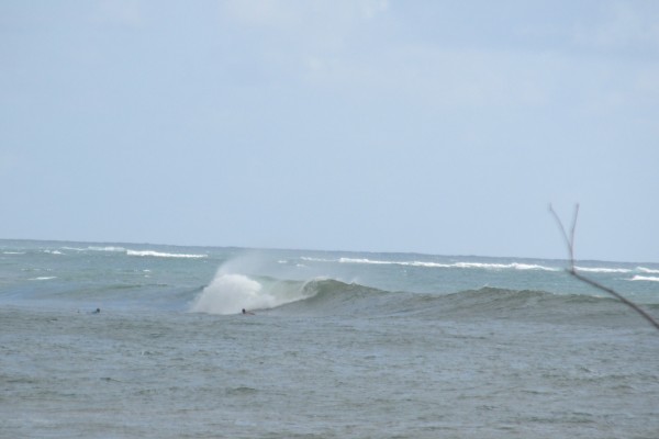 IMG_1300.JPG