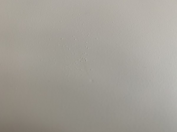 2CD4B978-B797-4088-8527-2043EEBA73E3.jpeg
