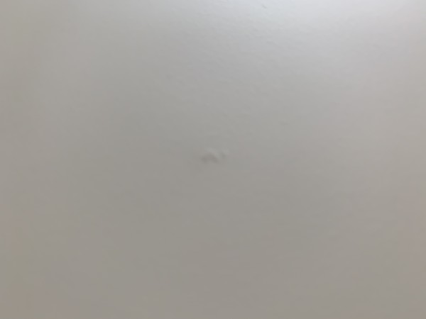 9ABA158F-96D7-486A-BEF6-C196A4D275E9.jpeg