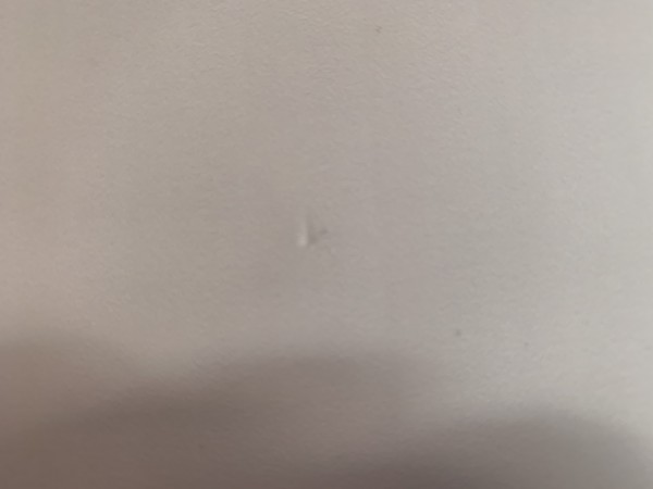 E6915613-502C-496F-A9B0-26010C846472.jpeg