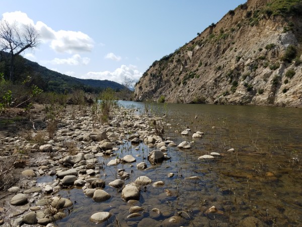 20190323_145518.jpg