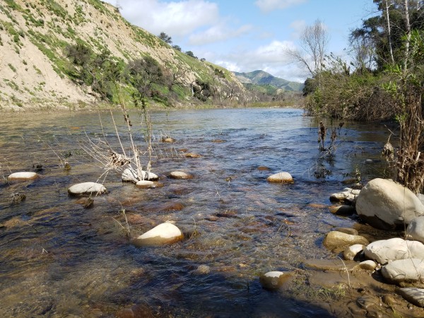 20190323_145130.jpg