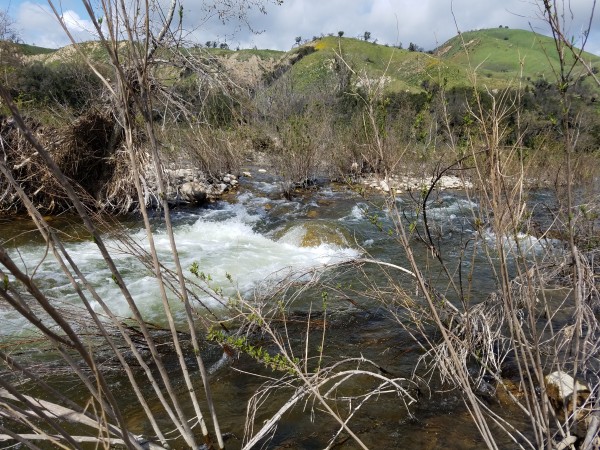 20190323_150547.jpg