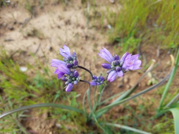 20190323_162405.jpg