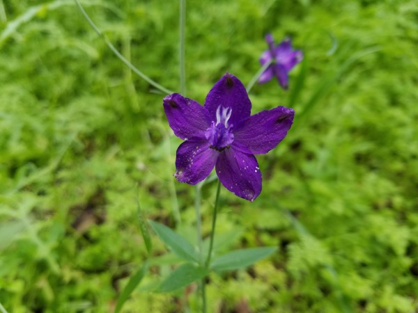 20190323_163902.jpg