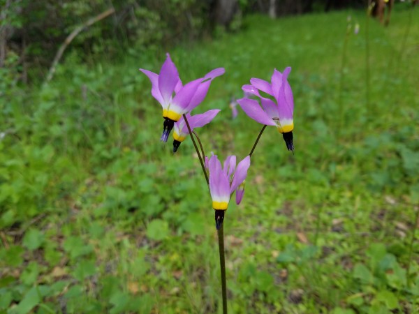20190323_161724.jpg